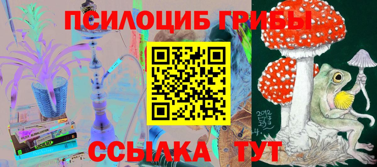 где найти   Галлюциногенные грибы Psilocybe  Вход с VPN  Губкинский 