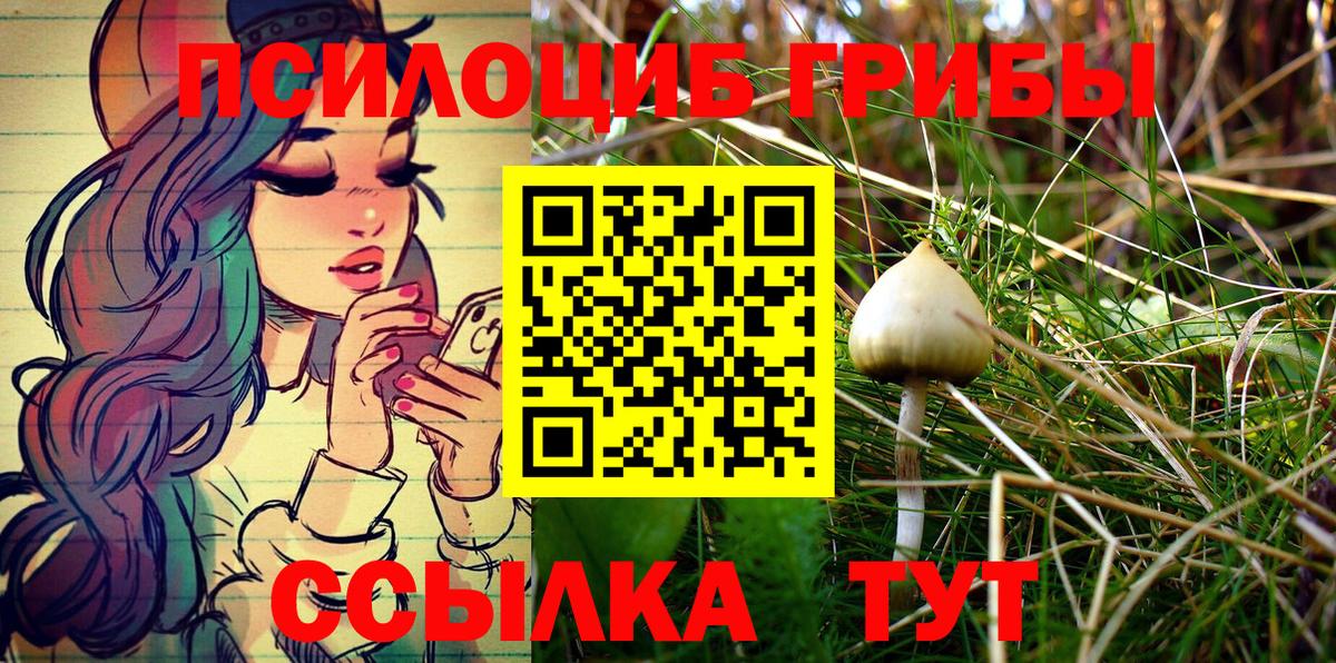 Псилоцибиновые грибы Cubensis Губкинский