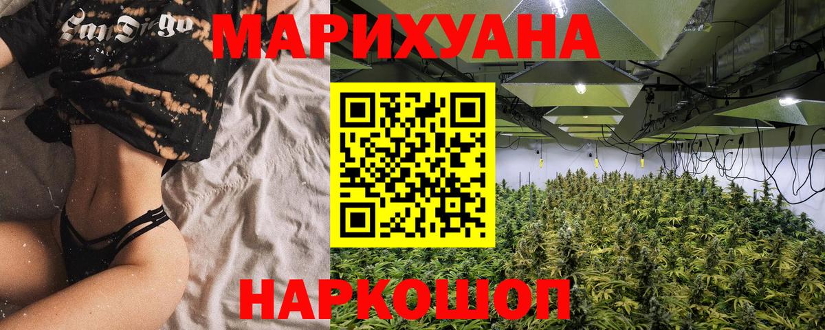 Каннабис OG Kush Губкинский